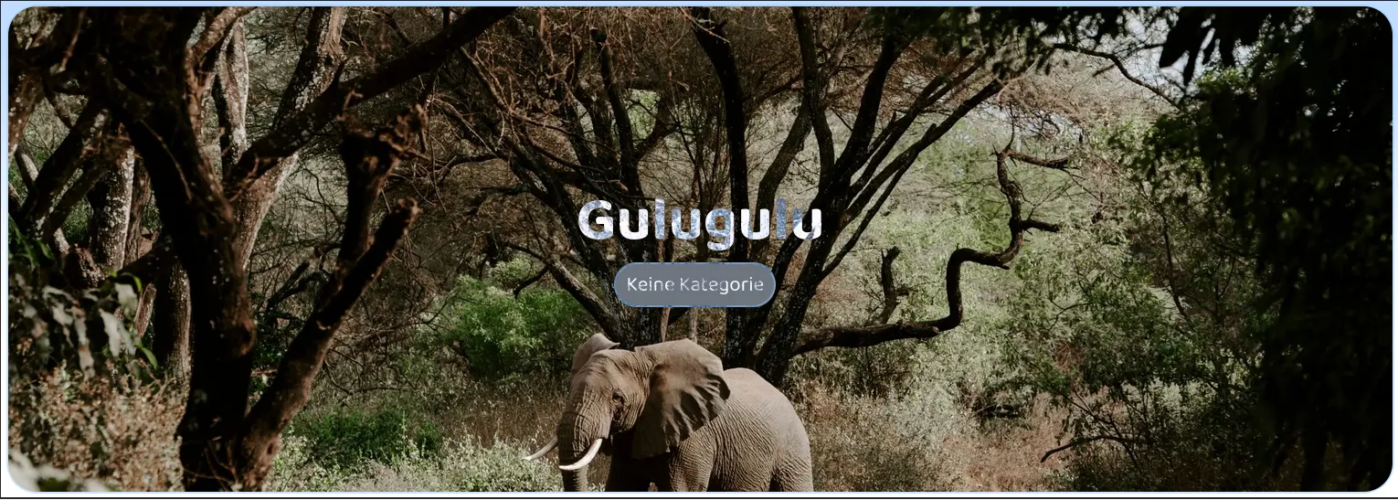 Header eines Beitrags