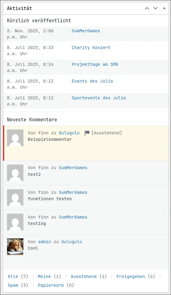 WordPress Dashboard Aktivität